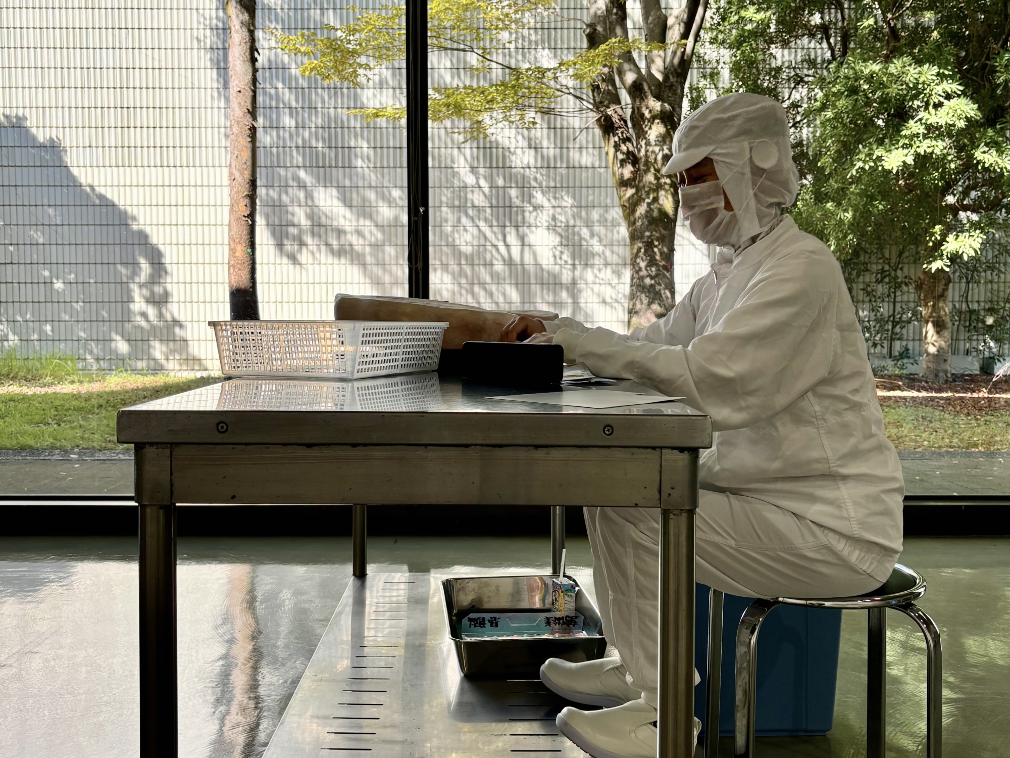 札本彩子展 / 岐阜県美術館