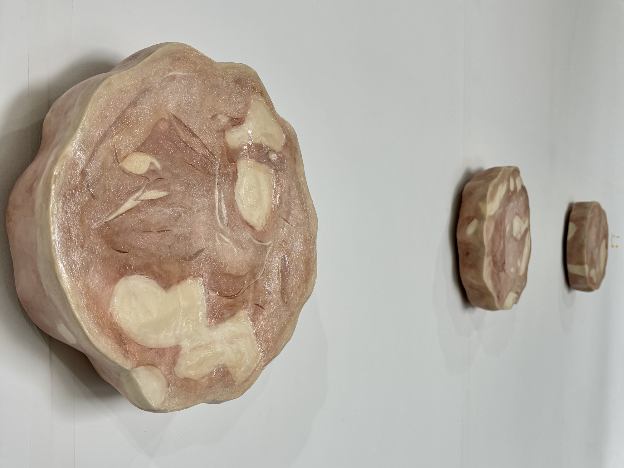 札本彩子展 / 岐阜県美術館