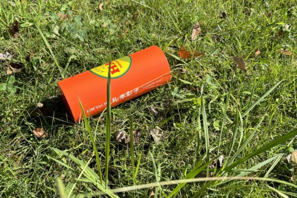 札本彩子展 / 岐阜県美術館